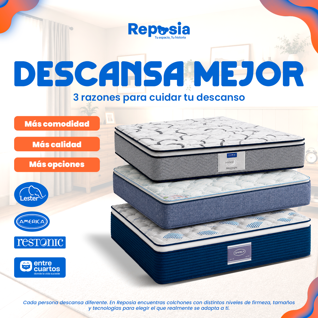 Mesa de trabajo 1